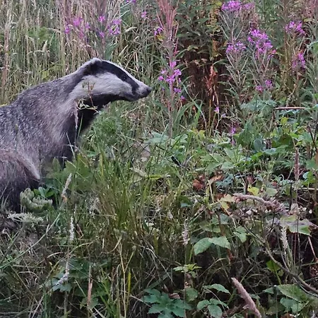 The Drey Inchberry Апартаменти