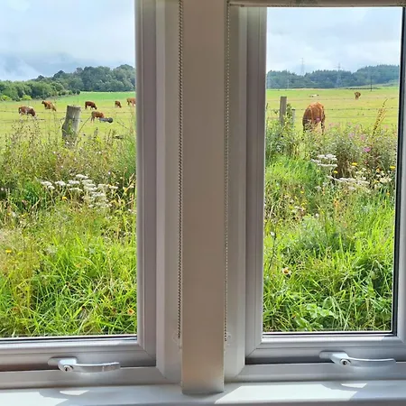 The Drey Inchberry *