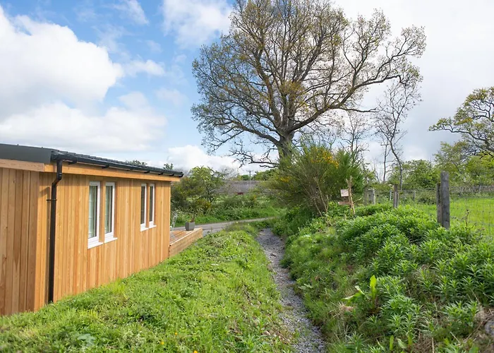 The Drey Inchberry Daire