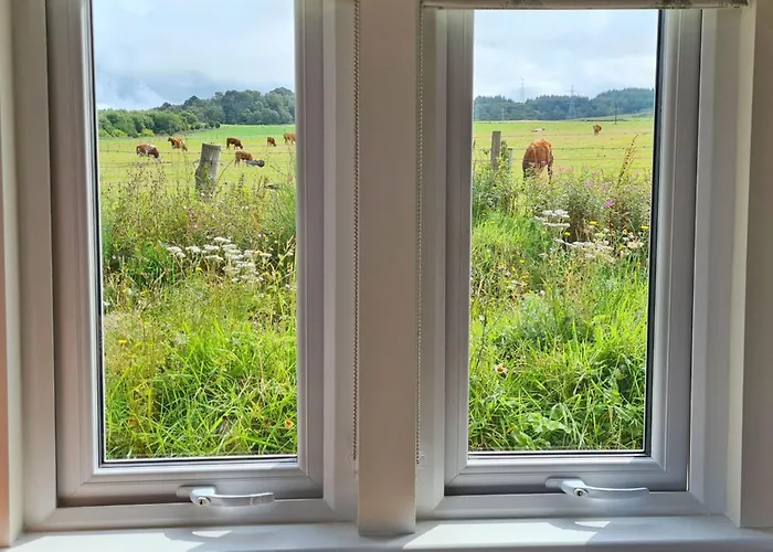 The Drey Inchberry *